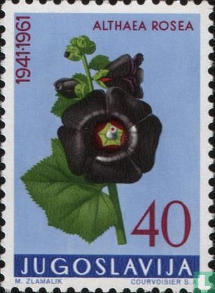 Fleurs