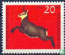 Animals