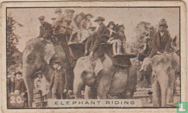 Elephant riding