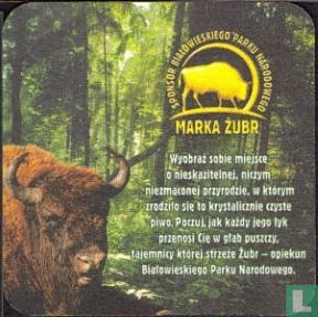 Zubr