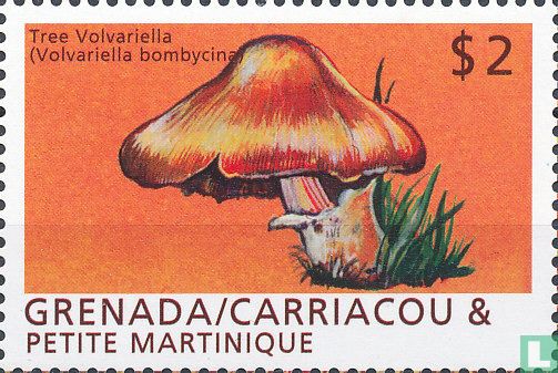 Champignons