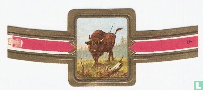 Wisent