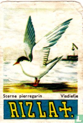 Visdiefje