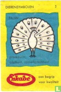 Pauw