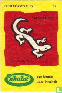 Salamander