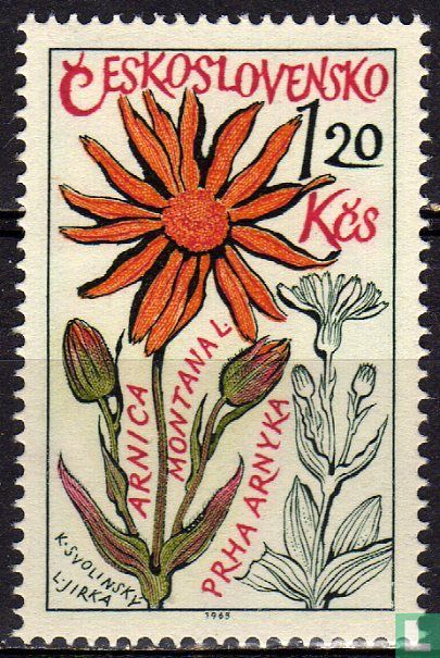 Medicinal herbs