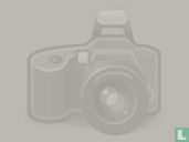 De lotgevallen van Robin Hood