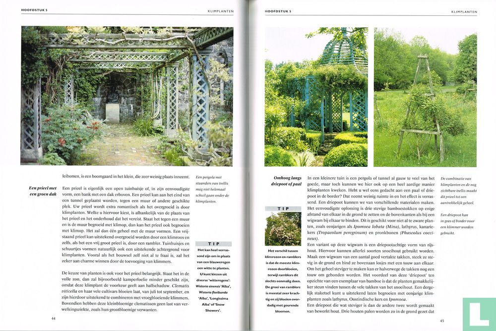 Klimplanten