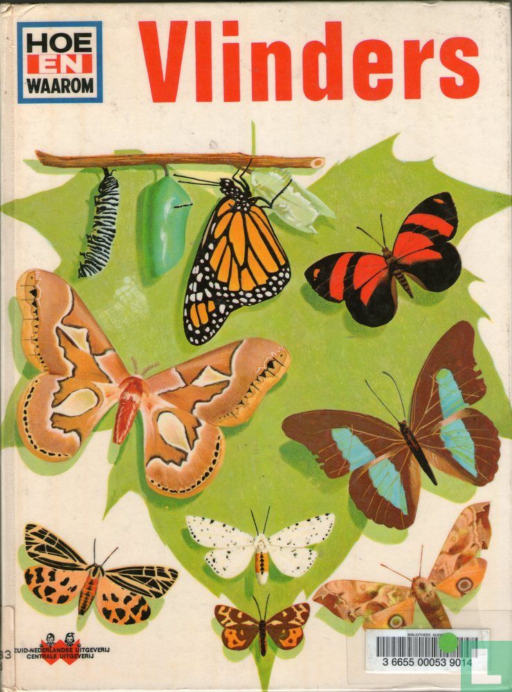 Vlinders