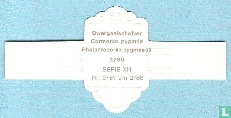 Dwergaalscholver (Phalacrocorax pygmaeus)