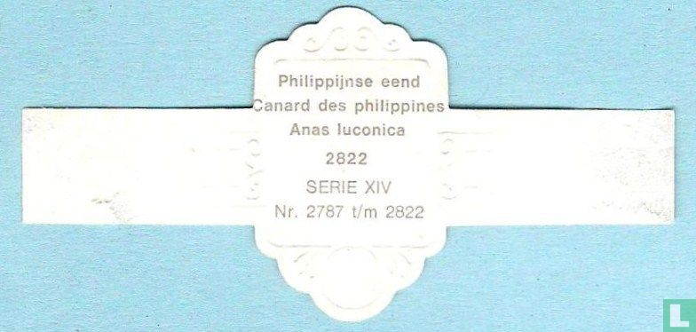 Philippijnse eend (Anas luconica)