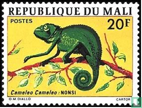 Reptilien