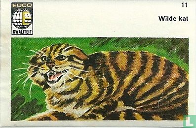 Wilde kat