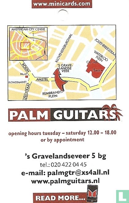 Palm Guitars