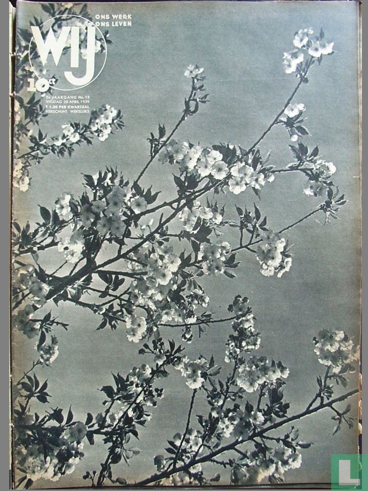 Wij 13