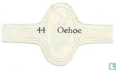 Oehoe