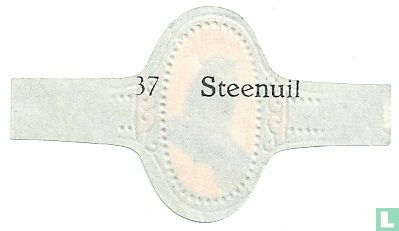Steenuil