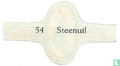 Steenuil