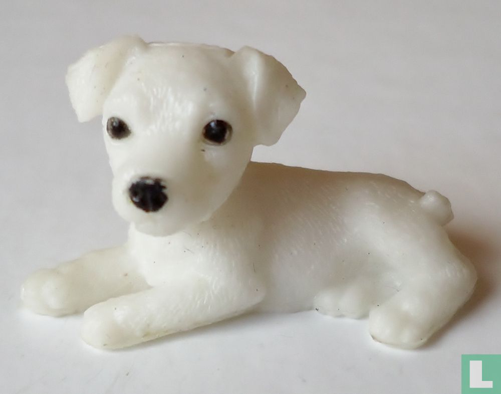 Chiot