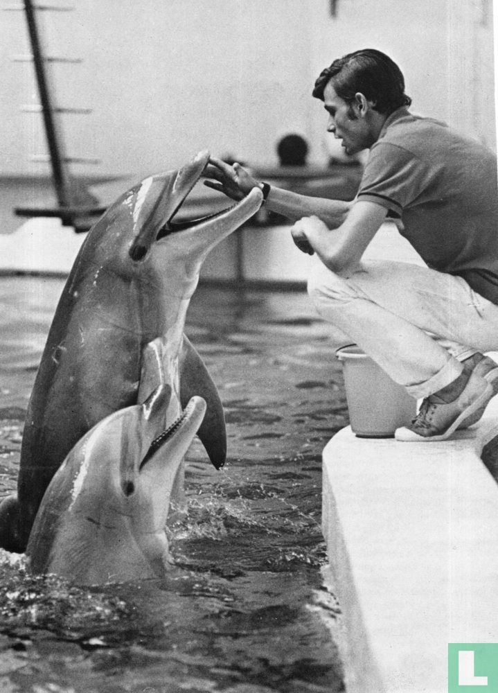 Dauphins