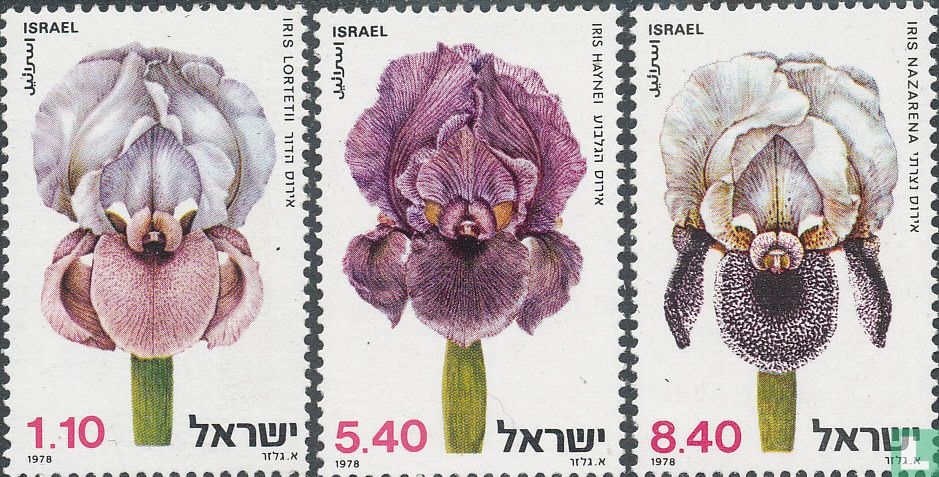 Protected Wildblumen 