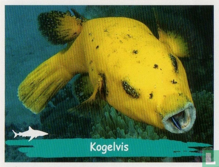 Kogelvis