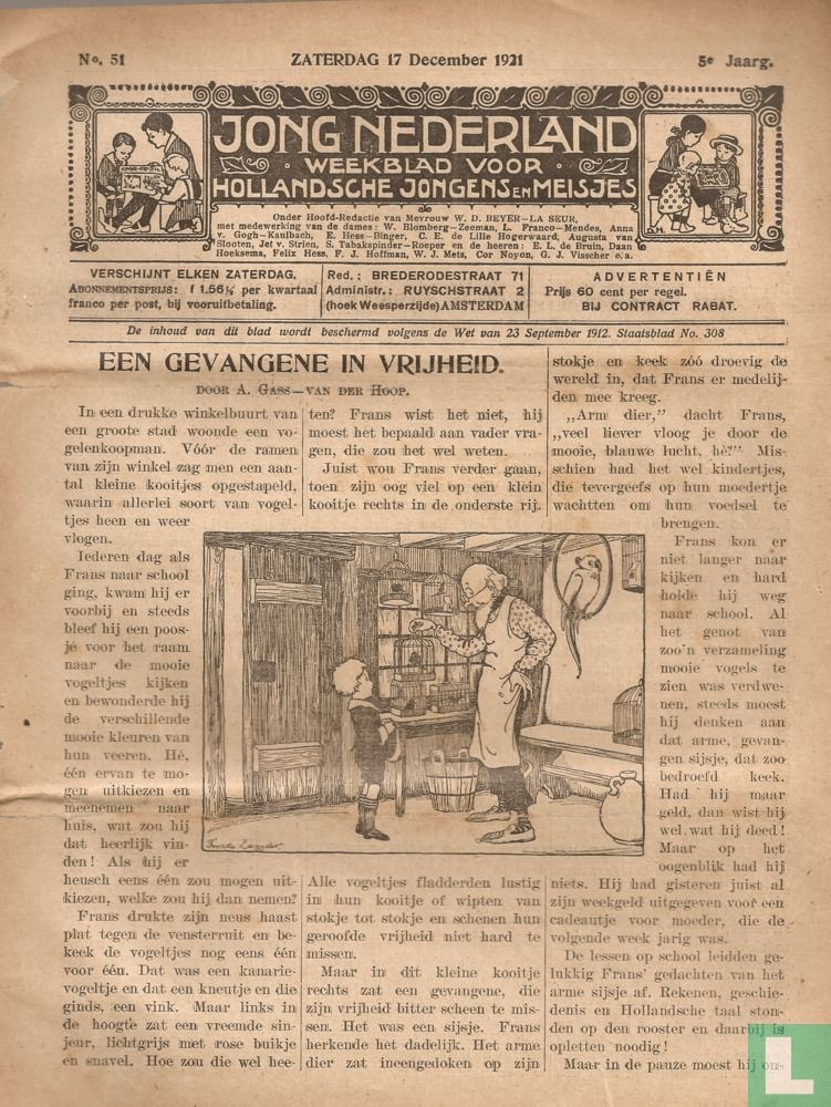 Jong Nederland 51