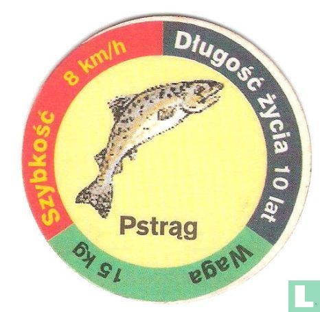 Pstrąg