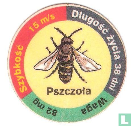 Pszczota