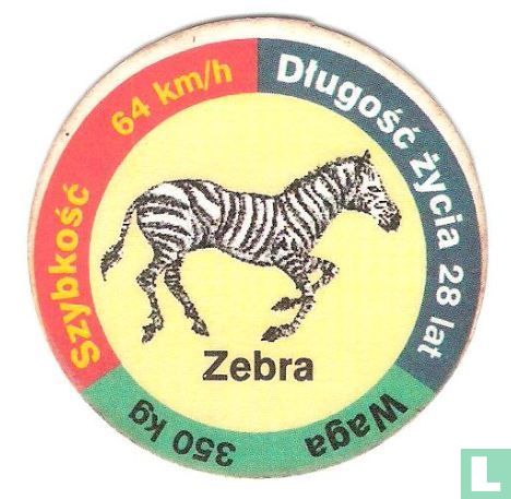 Zèbre