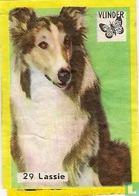 Lassie