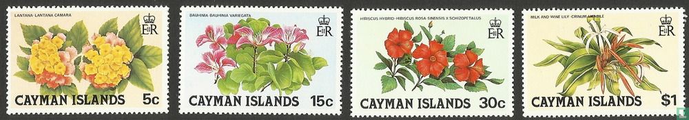 Fleurs   