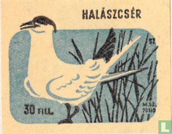 Halászcsèr