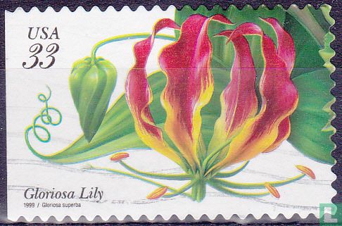 Tropical plants