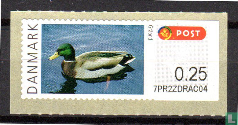 Canards
