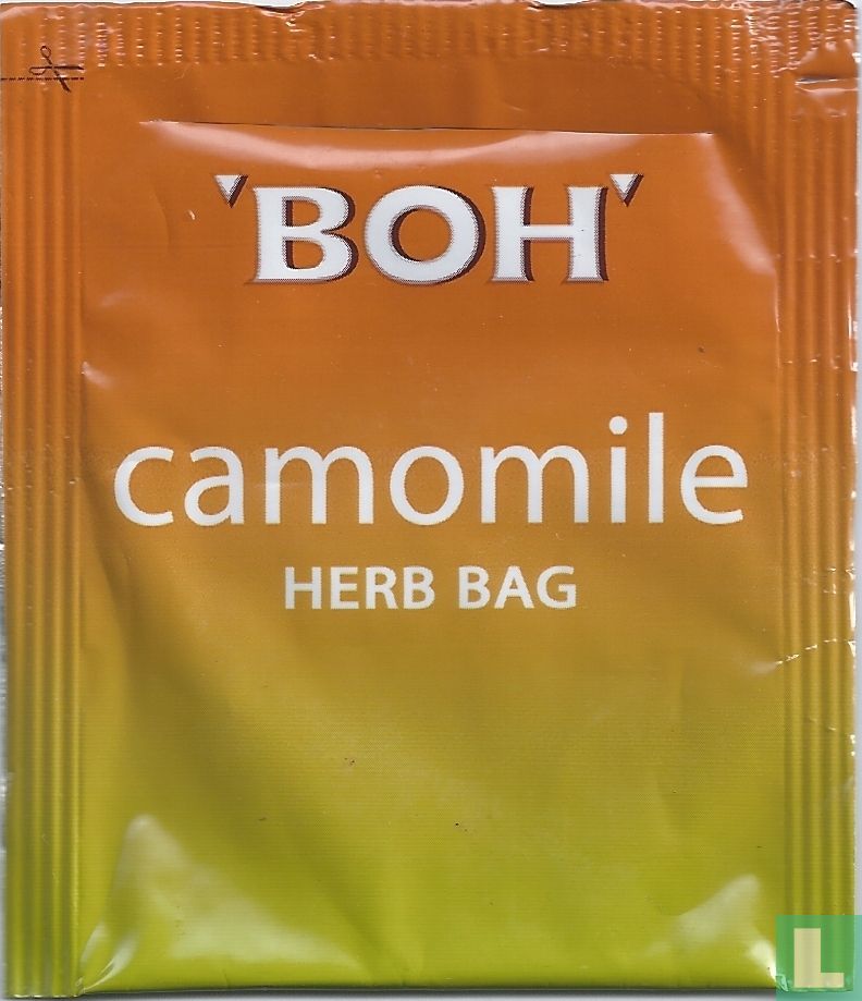 camomile 