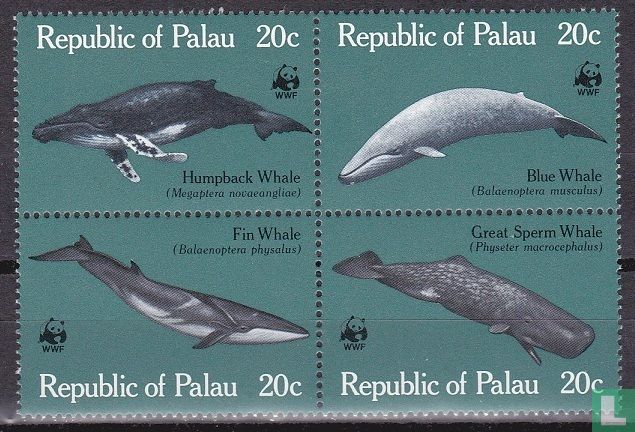 Baleines 