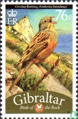 Ortolan