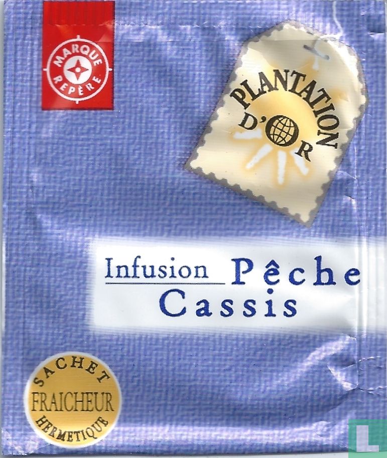 Pêche Cassis