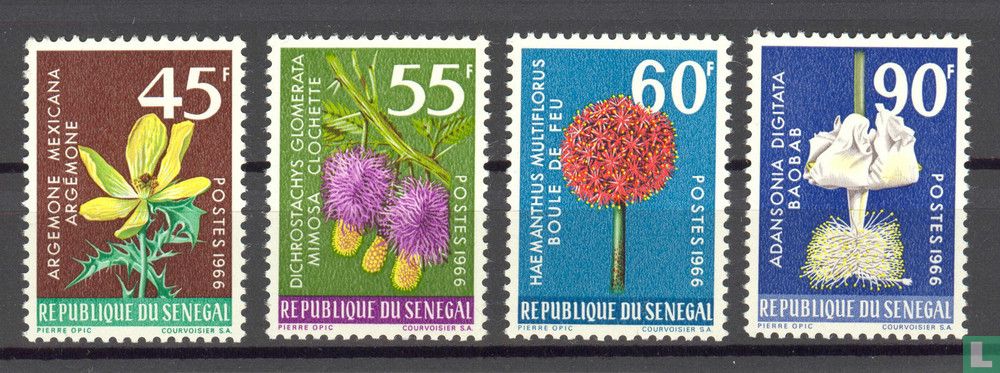 Fleurs et plantes
