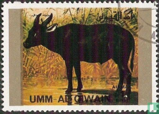 Rare animals  