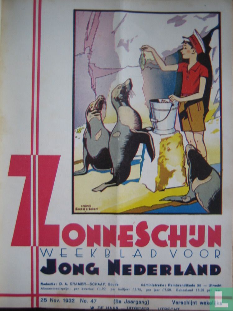 Zonneschijn 47