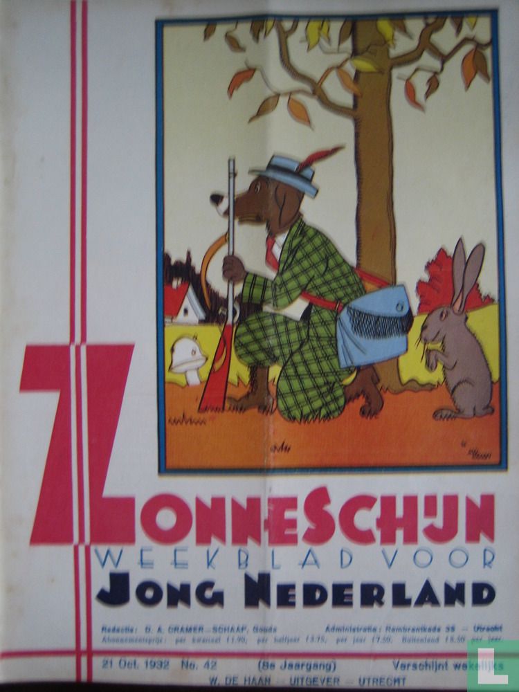 Zonneschijn 42