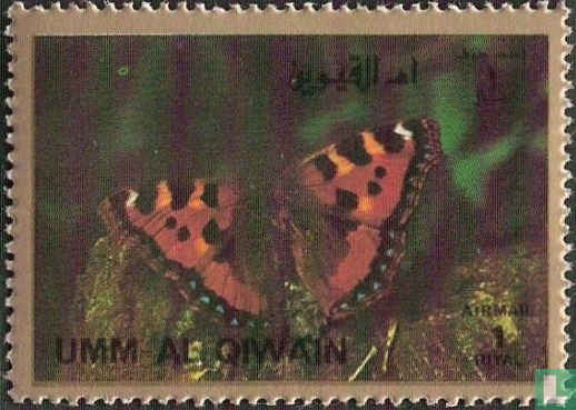 Papillon   