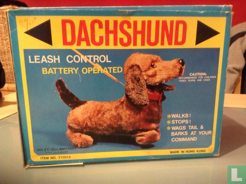 Dachshund Leash Control