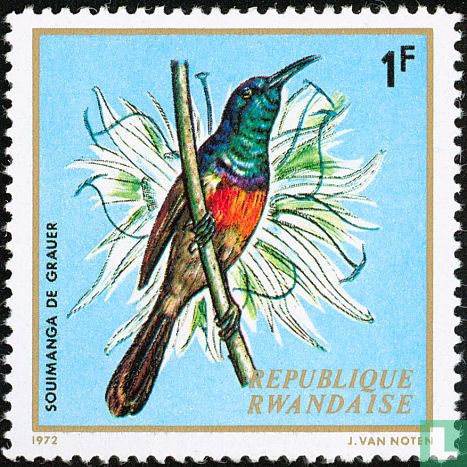 Oiseaux indigènes