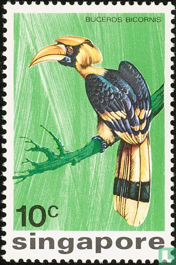 Oiseaux