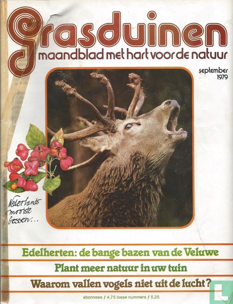 Grasduinen 1