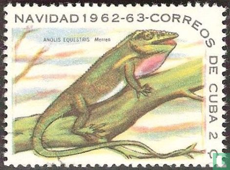 Reptiles