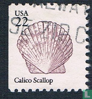 Schelpen